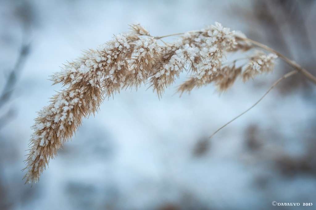 ��������� ����� ����� ���� ������ �� PhotoGeek.ru #����� #������ ��� �������