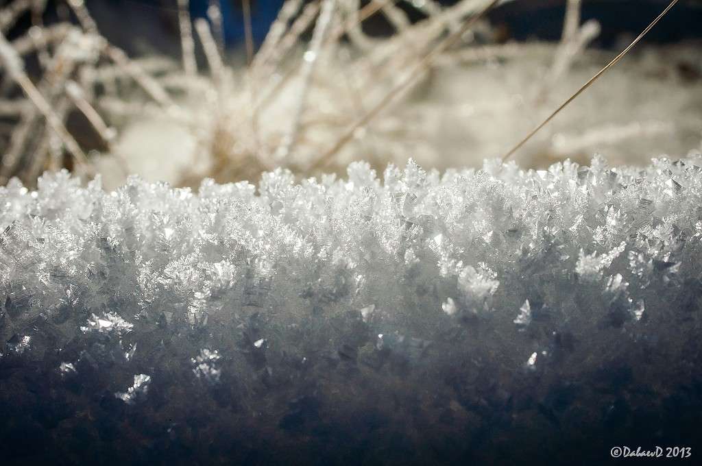 ������ ����. 26.12.2013 ����� ���� ������ �� PhotoGeek.ru #������ ��� ������� #����� ��������