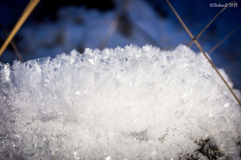 ��� ������� �����. 28.12.2013 ����� ���� ������ �� PhotoGeek.ru #����� #������ ��� ������� #����� ��������