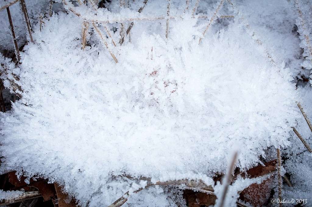 ��� ������� �����. 28.12.2013 ����� ���� ������ �� PhotoGeek.ru #����� #������ ��� ������� #����� ��������