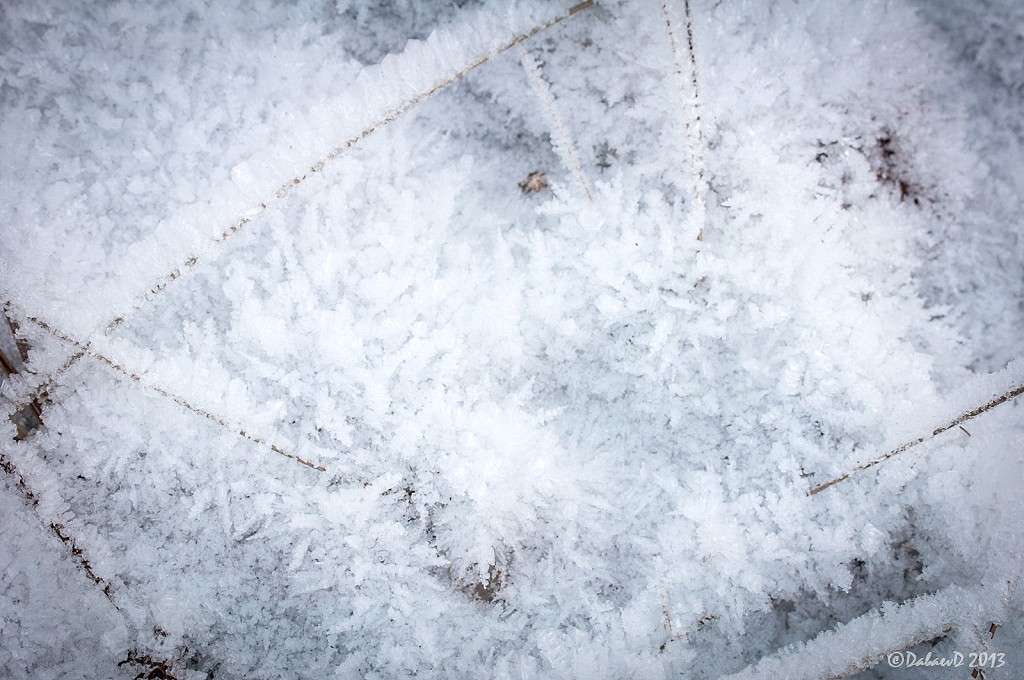 ��� ������� �����. 28.12.2013 ����� ���� ������ �� PhotoGeek.ru #����� #������ ��� ������� #������ #����� ��������