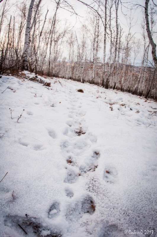 �������� �����. 29.12.2013 ����� ���� ������ �� PhotoGeek.ru #������ ��� ������� #����� ��������