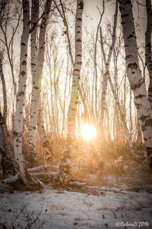 ����� � ������ ����. 03.12.2014 ����� ���� ������ �� PhotoGeek.ru #������ ��� ������� #����� ��������