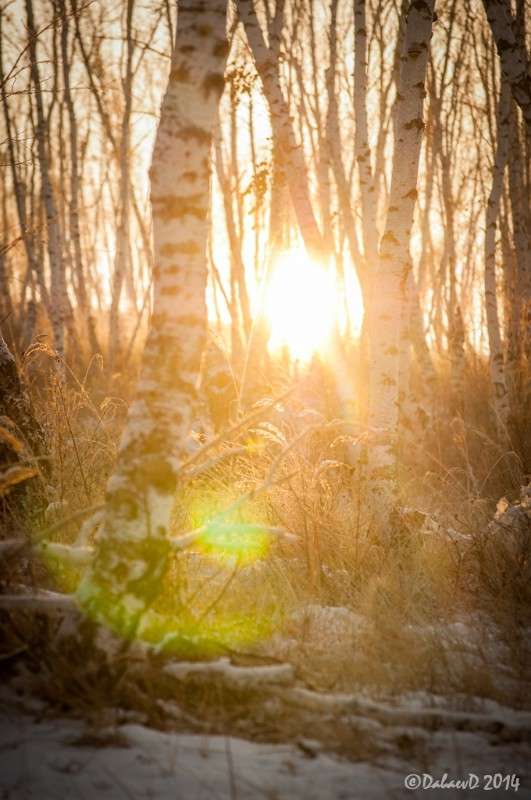 ����� � ������ ����. 03.12.2014 ����� ���� ������ �� PhotoGeek.ru #������ ��� ������� #����� ��������