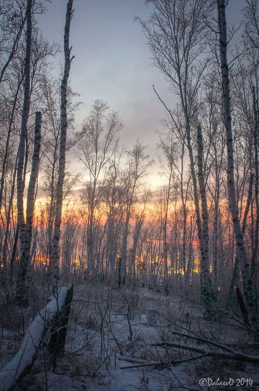 ������ ����� � ����. ����� ���� ������ �� PhotoGeek.ru #������ ��� ������� #������ #����� ��������