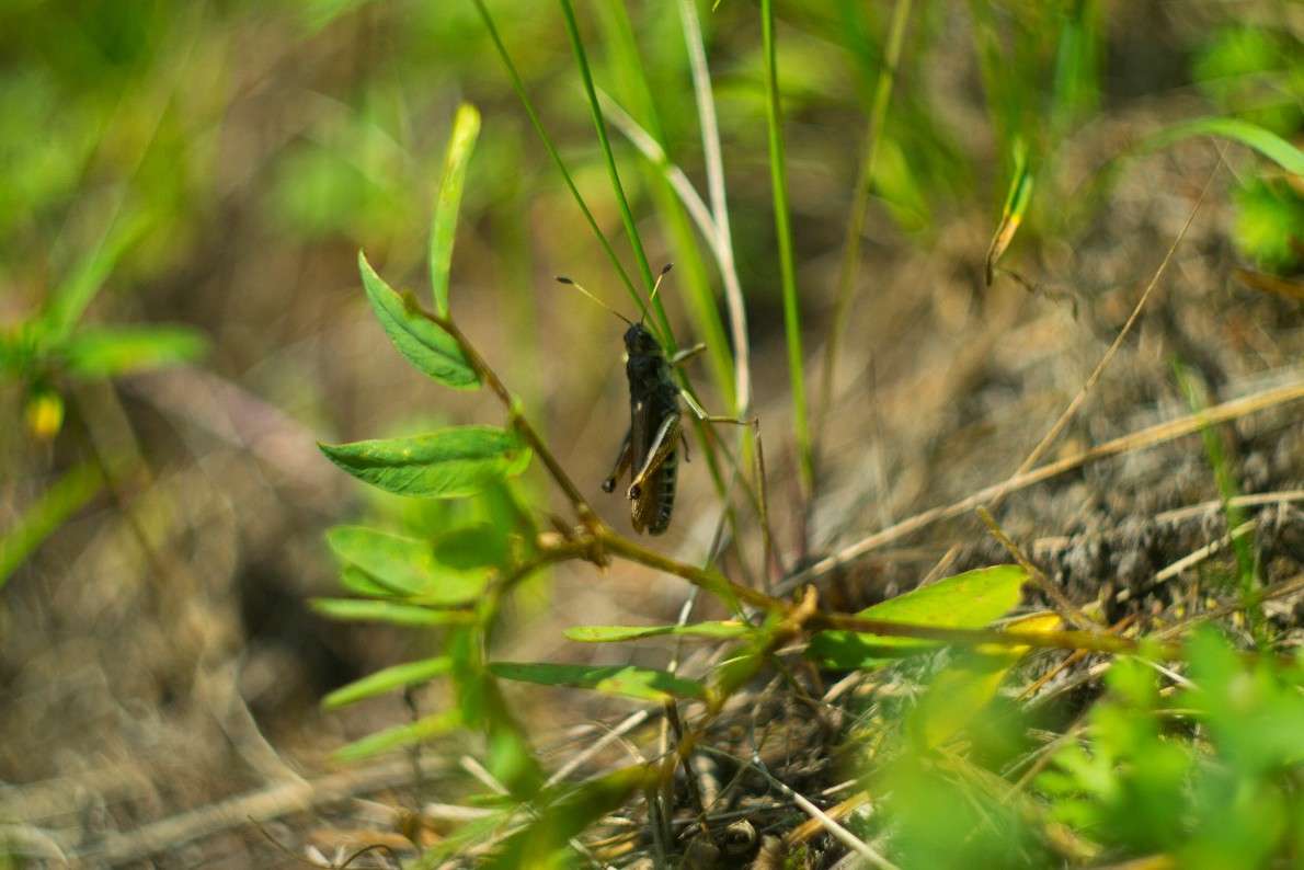 ... ����� ��� ������  �� PhotoGeek.ru #�������� ��� #������ ��� �������