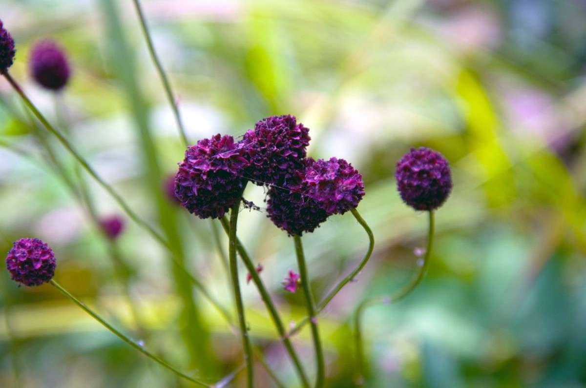 ... ����� ��������� �������� �� PhotoGeek.ru #����� #������ ��� ������� #����� ��������������