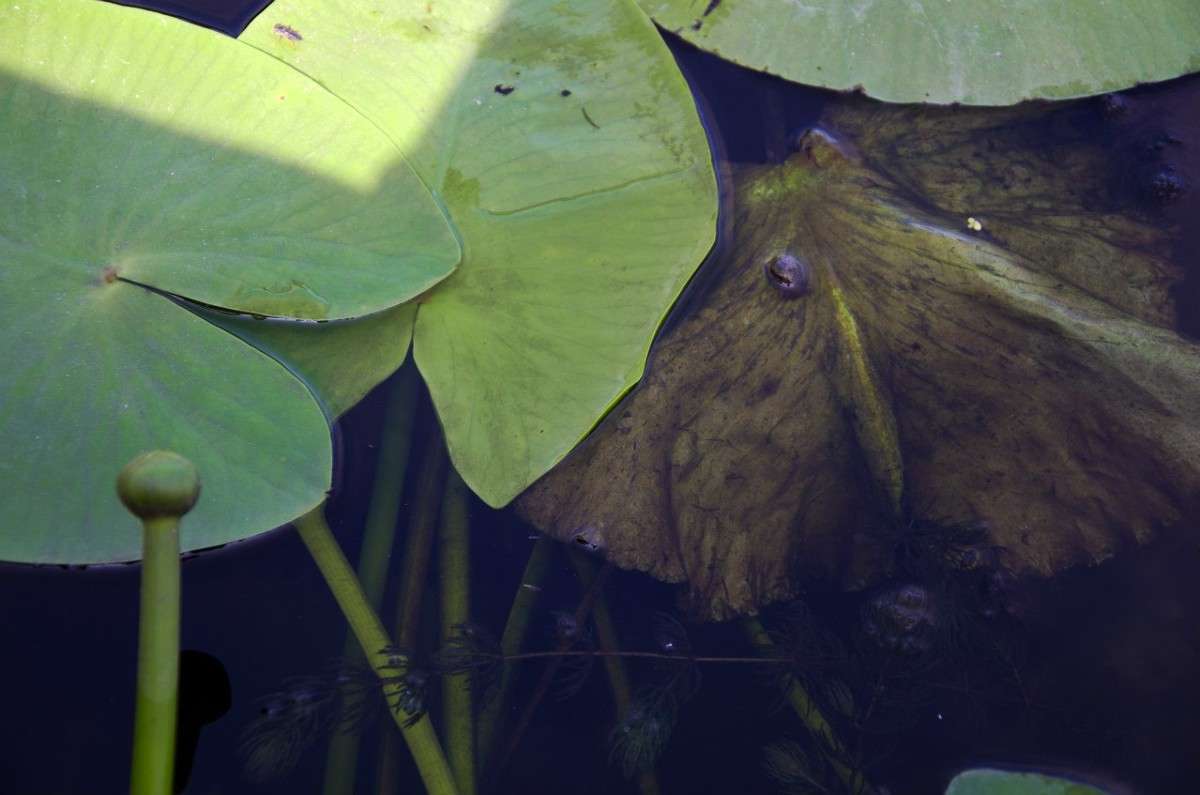 �������� ����� ��������� �������� �� PhotoGeek.ru #������ ��� ������� #����� ��������������