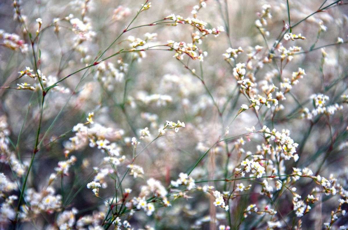 ������� ����� ����� ��������� �������� �� PhotoGeek.ru #������ ��� ������� #����� �������������� #�����