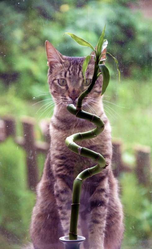 ... ����� ��������� �������� �� PhotoGeek.ru #�������� ��� #������ #�������� ��� #����� �������������� #���