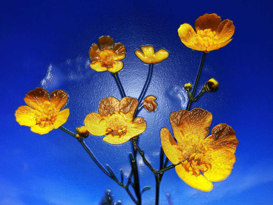 ������ ����� �������  �� PhotoGeek.ru #�����