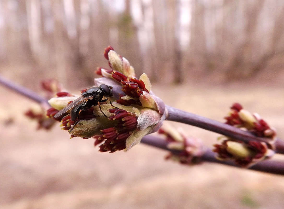 ���... ����� �������  �� PhotoGeek.ru #�����