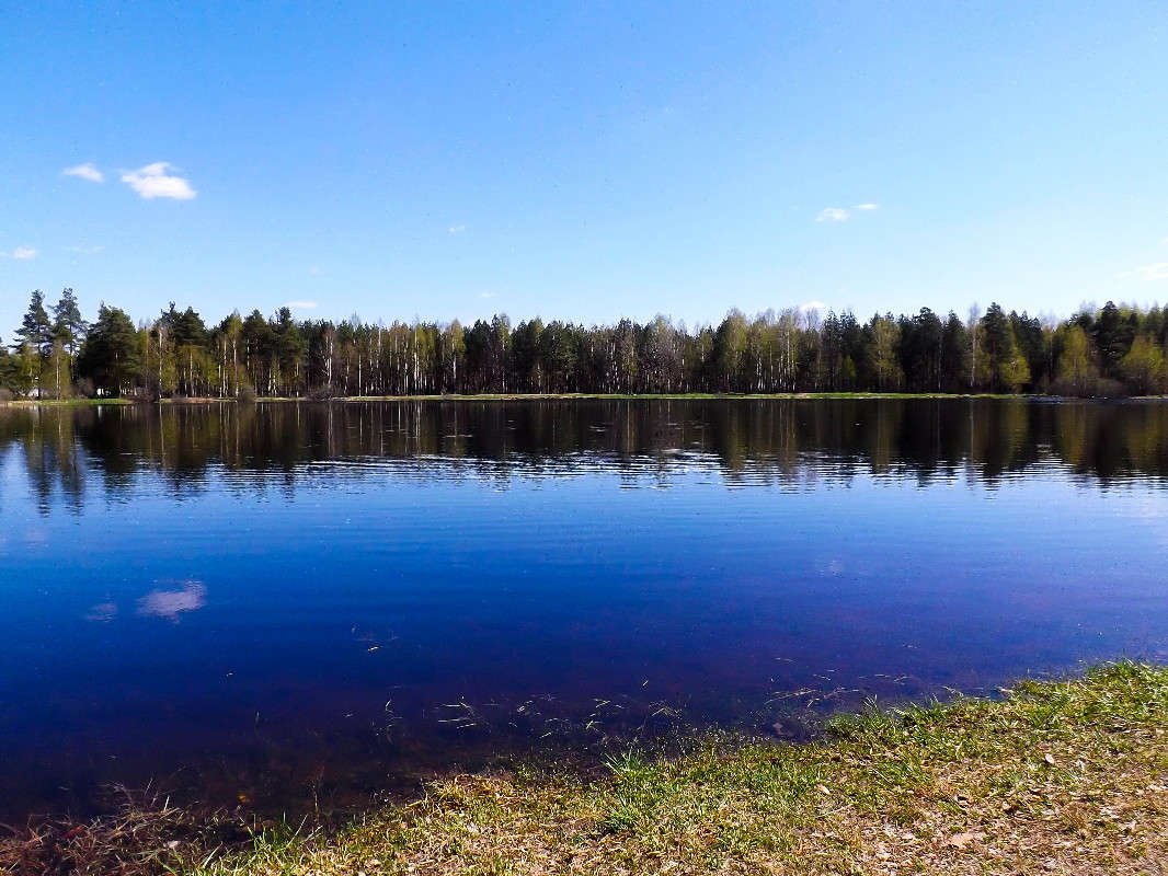 ������ ������ ����� �������  �� PhotoGeek.ru #������ ��� �������