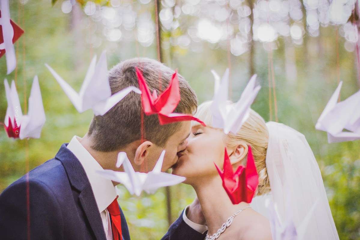 ������ ����� ����� ������ �� PhotoGeek.ru #�������� ���������� #�������������