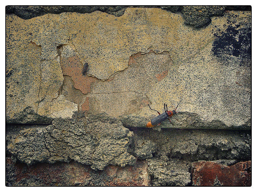 ��� ���� ����� Alex  �� PhotoGeek.ru #����� #���������