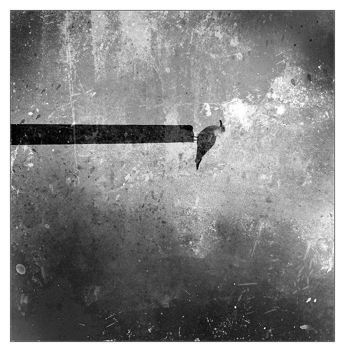 �����-����� ����� Alex  �� PhotoGeek.ru #������ #�������� ��� #����� ��� ��� ��������� #�����-�����