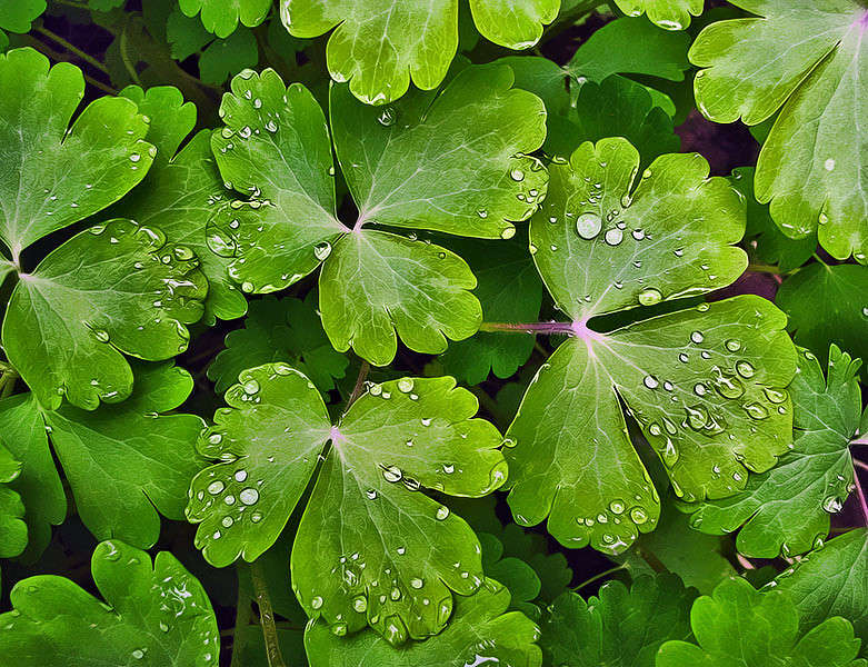 ... ����� Alex  �� PhotoGeek.ru #����� #������ ��� ������� #����� ��������������