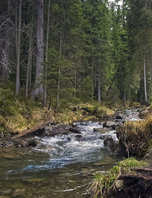 ... ����� Alex  �� PhotoGeek.ru #������ ��� ������� #���������