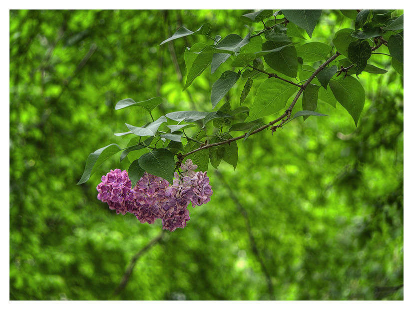 ... ����� Alex  �� PhotoGeek.ru #������ ��� ������� #����� �������������� #����� ��������