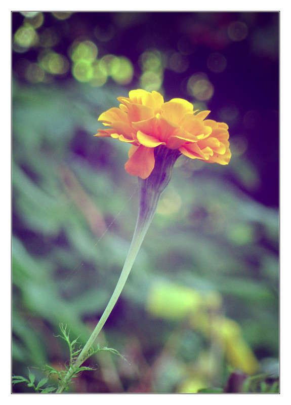 ... ����� Alex  �� PhotoGeek.ru #����� #������ ��� ������� #����� �������������� #���������