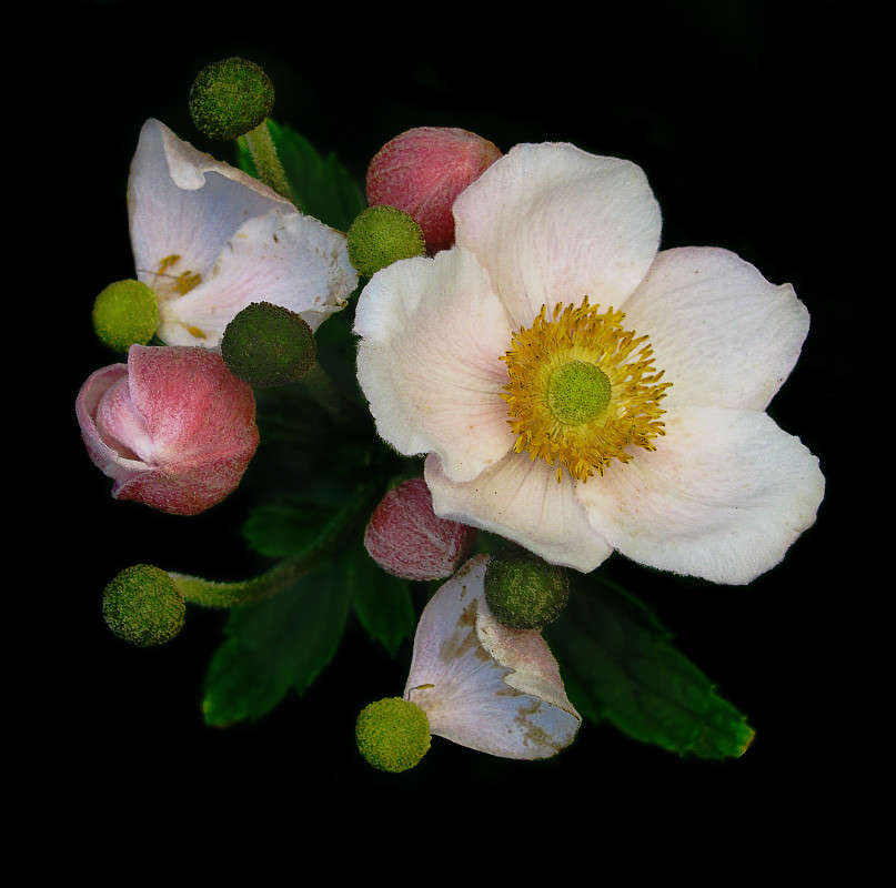 ... ����� Alex  �� PhotoGeek.ru #����� #����� ��������������