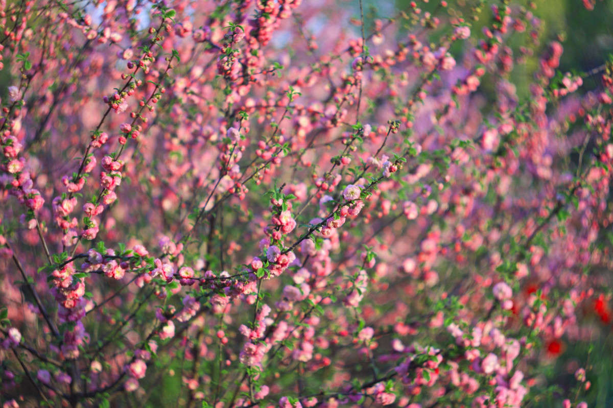 ... ����� Alex  �� PhotoGeek.ru #����� #����� ��������������