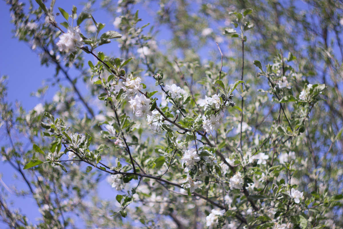 ... ����� Alex  �� PhotoGeek.ru #������ ��� ������� #����� �������������� #���������