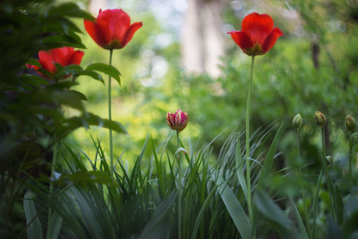 ... ����� Alex  �� PhotoGeek.ru #������ ��� ������� #����� ��������������