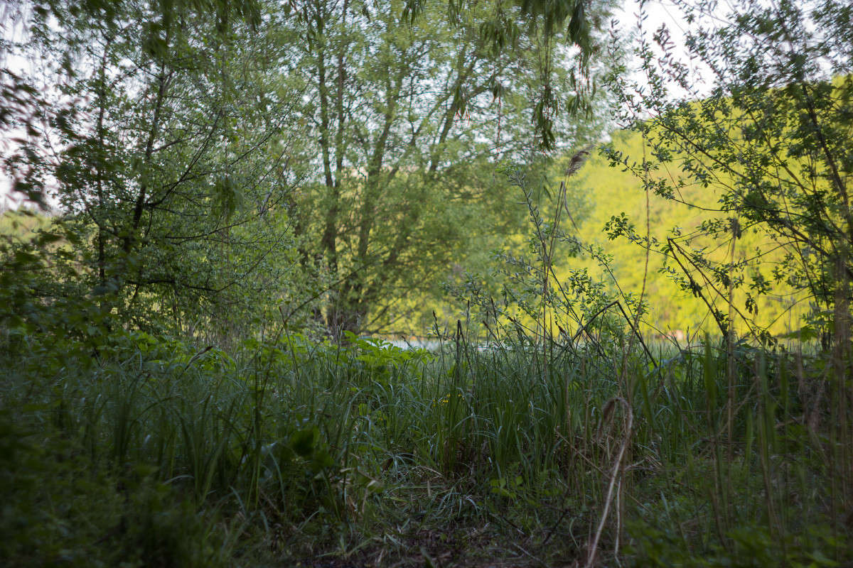 ... ����� Alex  �� PhotoGeek.ru #������ ��� ������� #����� �������������� #����� ��������