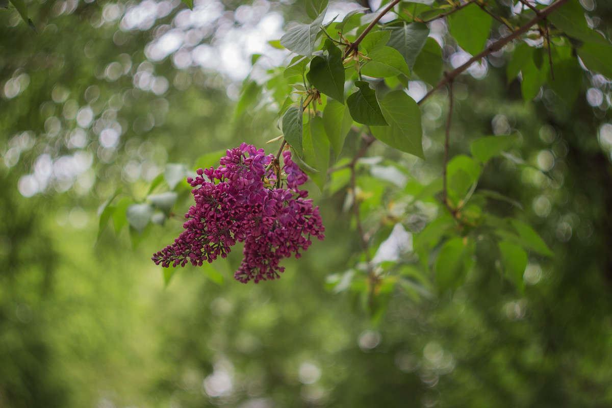 ... ����� Alex  �� PhotoGeek.ru #������ ��� ������� #����� ��������������