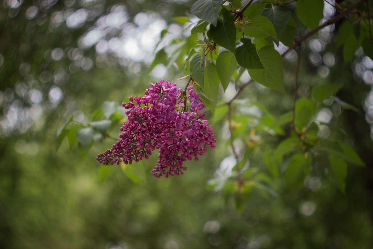 ... ����� Alex  �� PhotoGeek.ru #������ ��� ������� #����� �������������� #���������