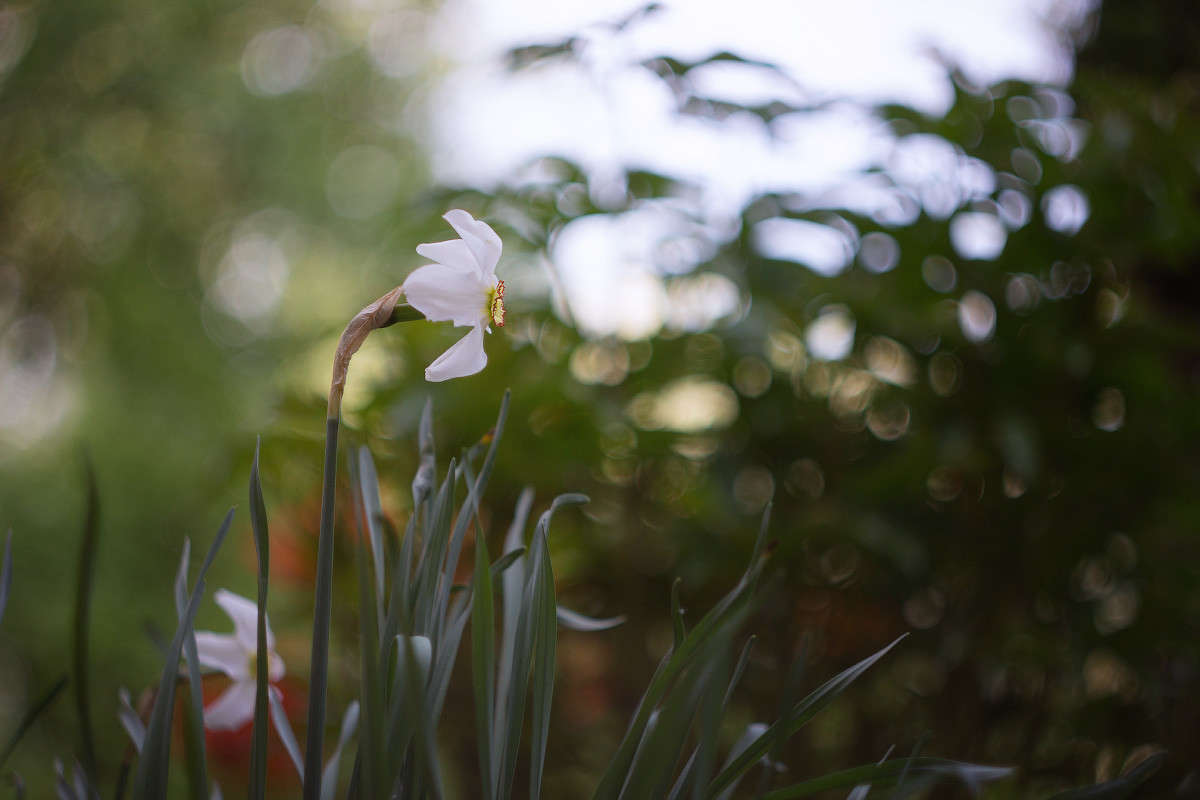 ... ����� Alex  �� PhotoGeek.ru #������ ��� ������� #����� �������������� #����� ��������