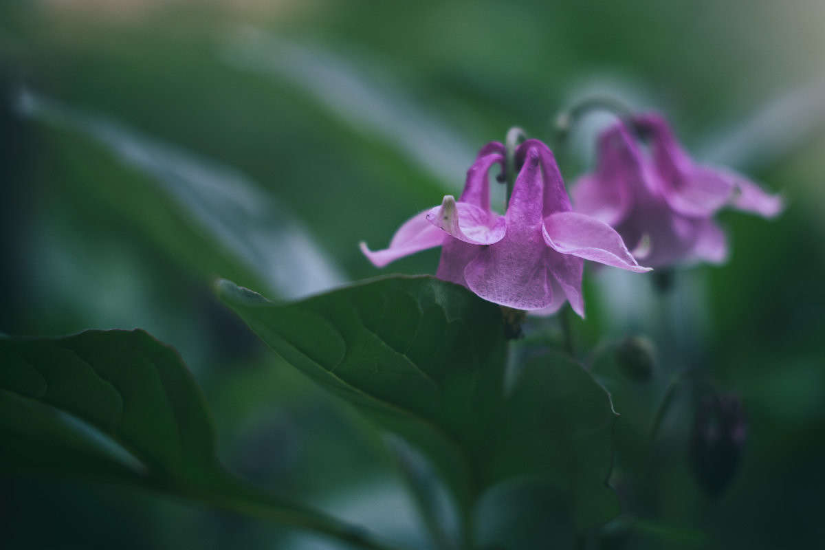 ... ����� Alex  �� PhotoGeek.ru #������ ��� ������� #����� �������������� #���������