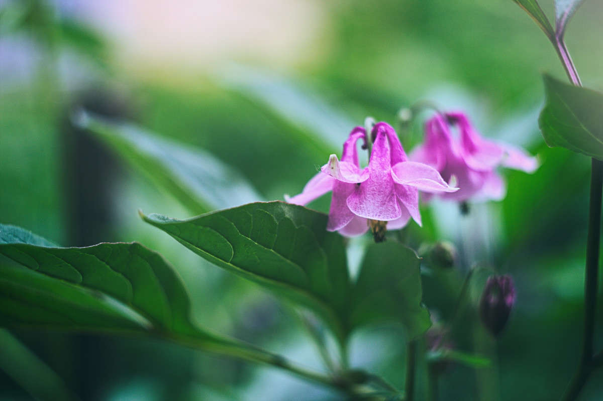 ... ����� Alex  �� PhotoGeek.ru #������ ��� ������� #����� ��������������