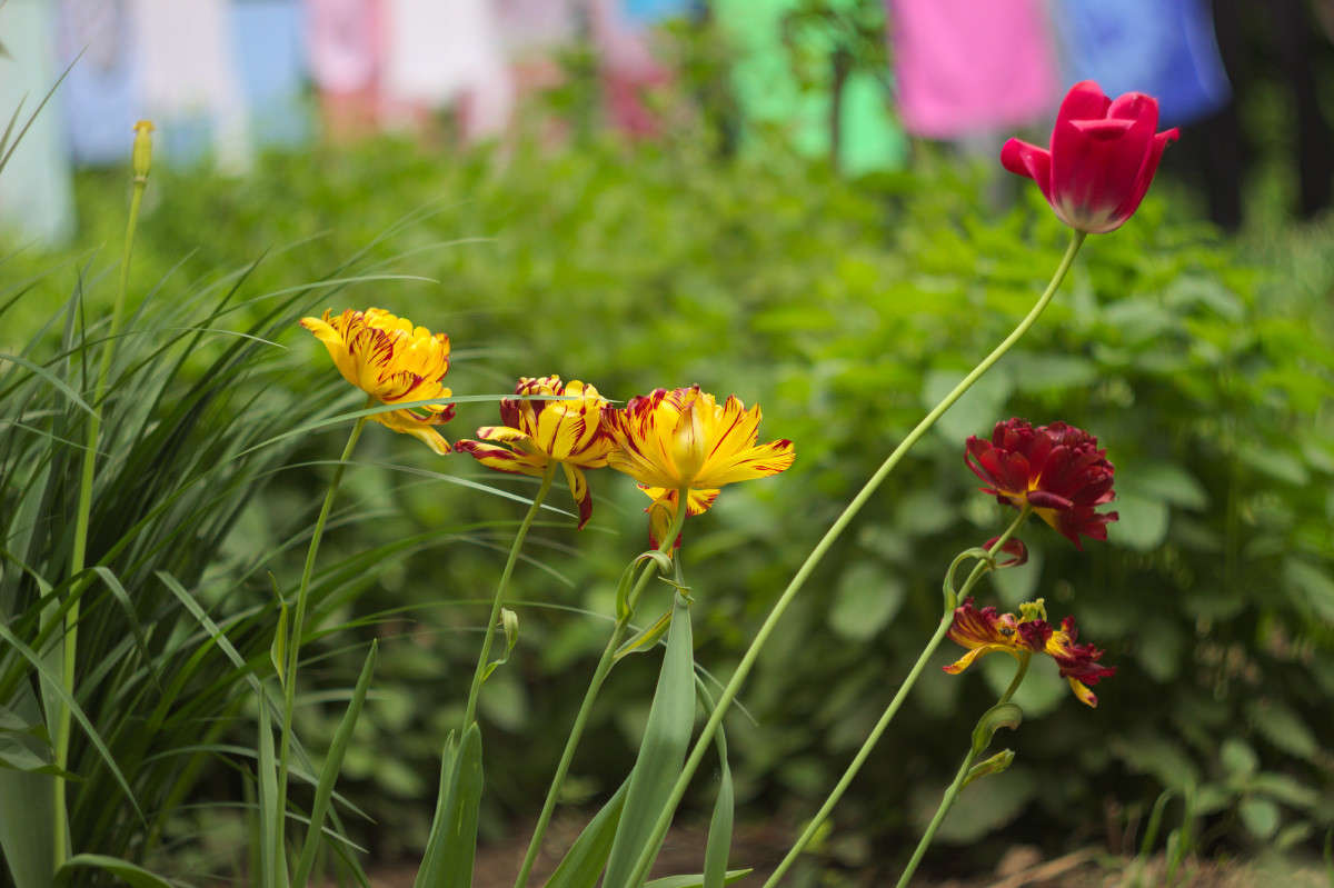 ... ����� Alex  �� PhotoGeek.ru #������ ��� ������� #����� ��������������