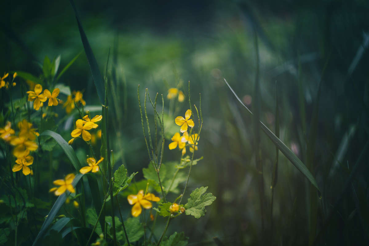 ... ����� Alex  �� PhotoGeek.ru #������ ��� ������� #����� ��������������