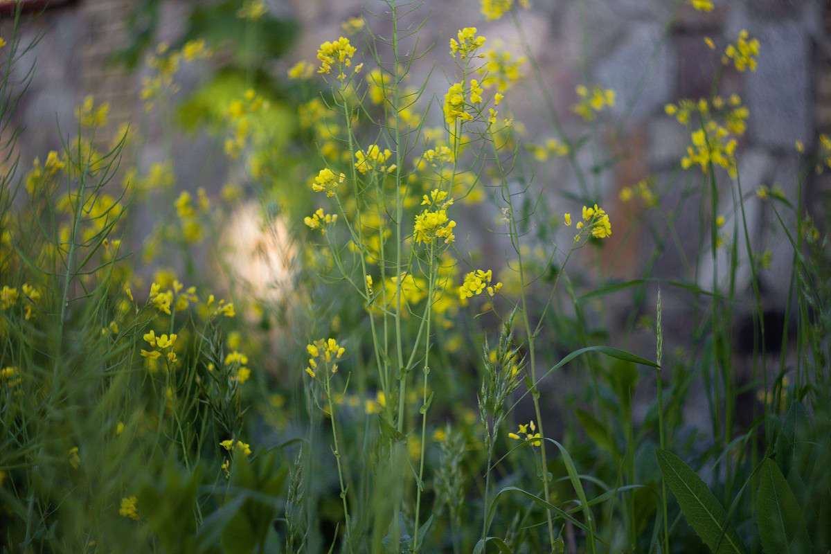 ... ����� Alex  �� PhotoGeek.ru #������ ��� ������� #����� ��������������