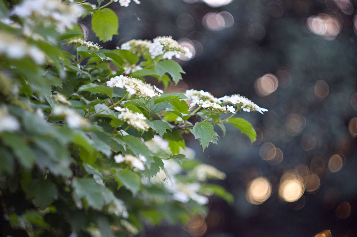 ... ����� Alex  �� PhotoGeek.ru #������ ��� ������� #����� ��������������