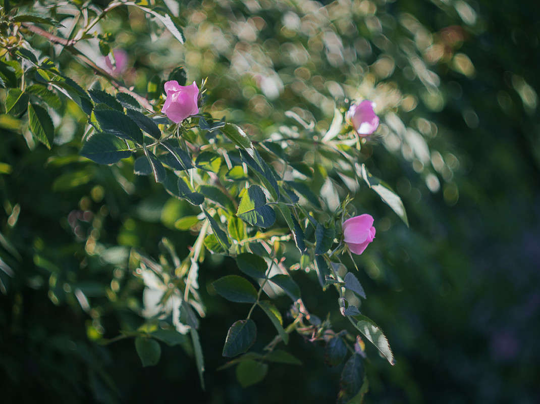 ... ����� Alex  �� PhotoGeek.ru #������ ��� ������� #����� ��������������