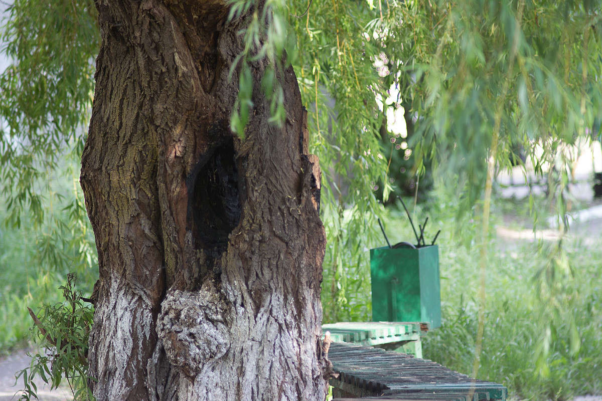 ... ����� Alex  �� PhotoGeek.ru #������ ��� ������� #����� ��������������