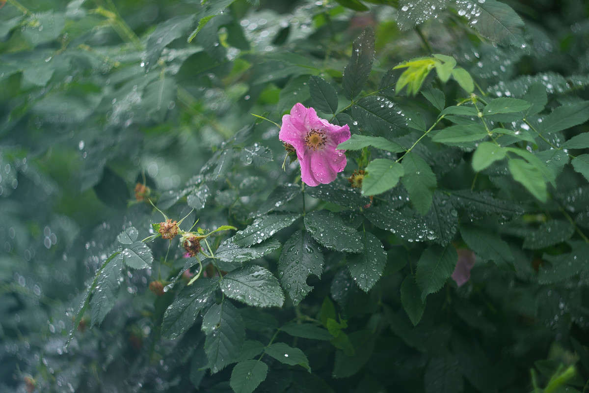 ... ����� Alex  �� PhotoGeek.ru #������ ��� ������� #����� ��������������