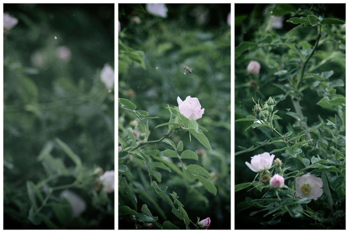 ... ����� Alex  �� PhotoGeek.ru #������ ��� ������� #����� ��������������