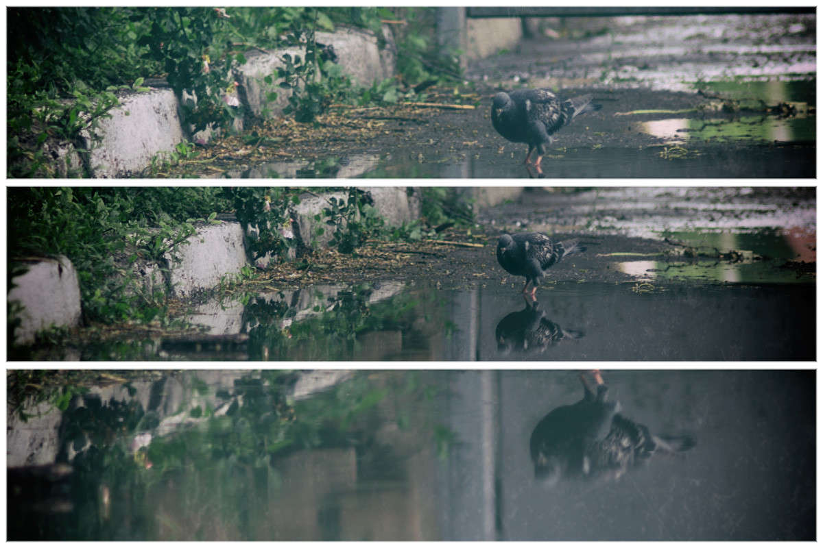 ... ����� Alex  �� PhotoGeek.ru #������ ��� ������� #����� ��������������