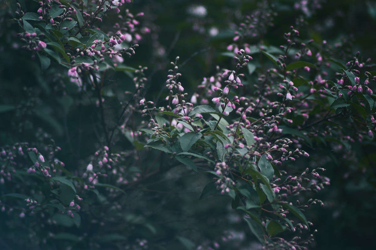 ... ����� Alex  �� PhotoGeek.ru #������ ��� ������� #����� ��������������