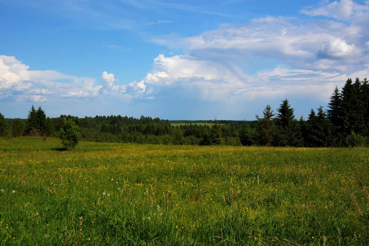 � ������������ ����� 