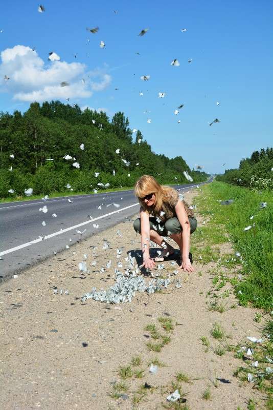 ������� ���������� ����� ������� ����� �� PhotoGeek.ru #�������� ��� #������ ��� �������