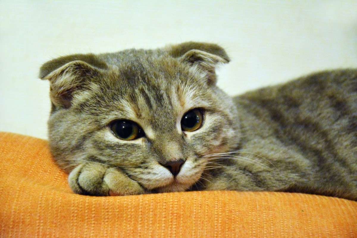 ��� ����. ������ ��������. ����� ������� ����� �� PhotoGeek.ru #�������� ��� #�������