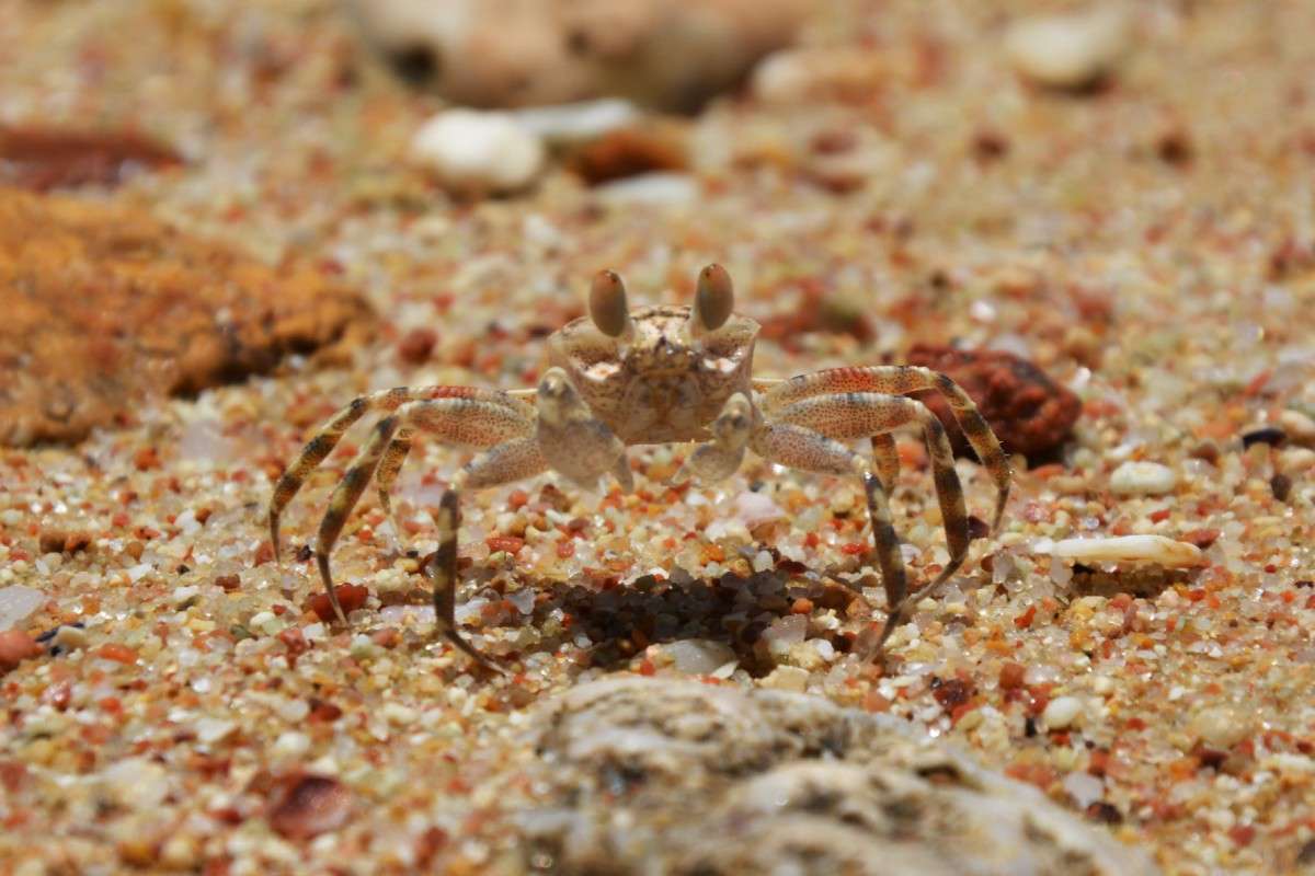 ���� �������... �� ���������... ����� ������� ����� �� PhotoGeek.ru #������ ��� �������