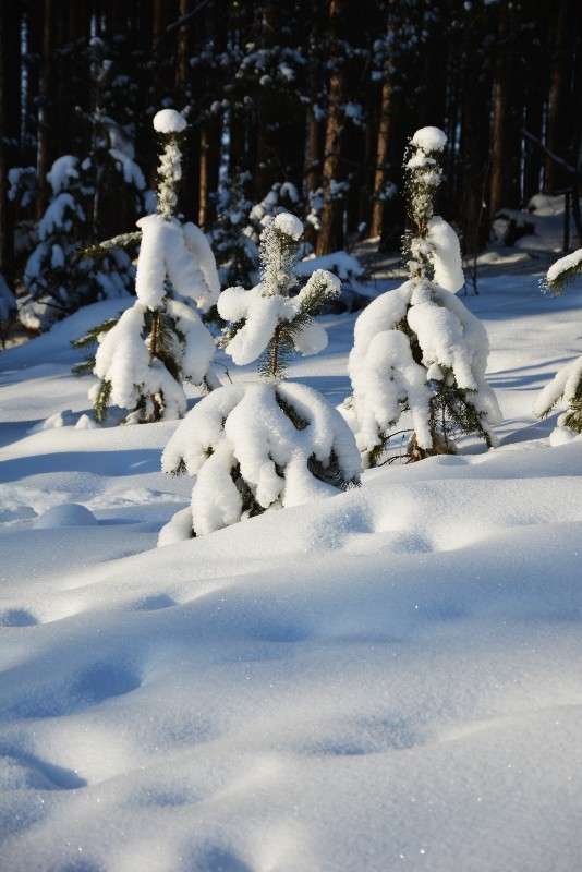 ... ����� ������� ����� �� PhotoGeek.ru #������ ��� ������� #����� ��������������