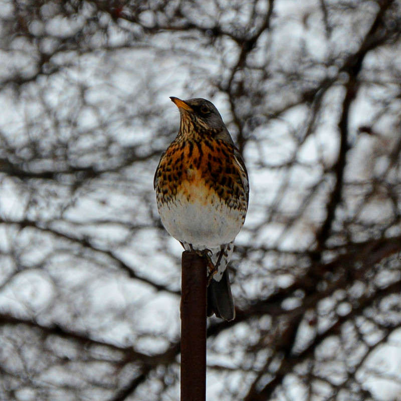 ����� ����� ������� ����� �� PhotoGeek.ru #�������� ��� #����� ��� ��� ���������